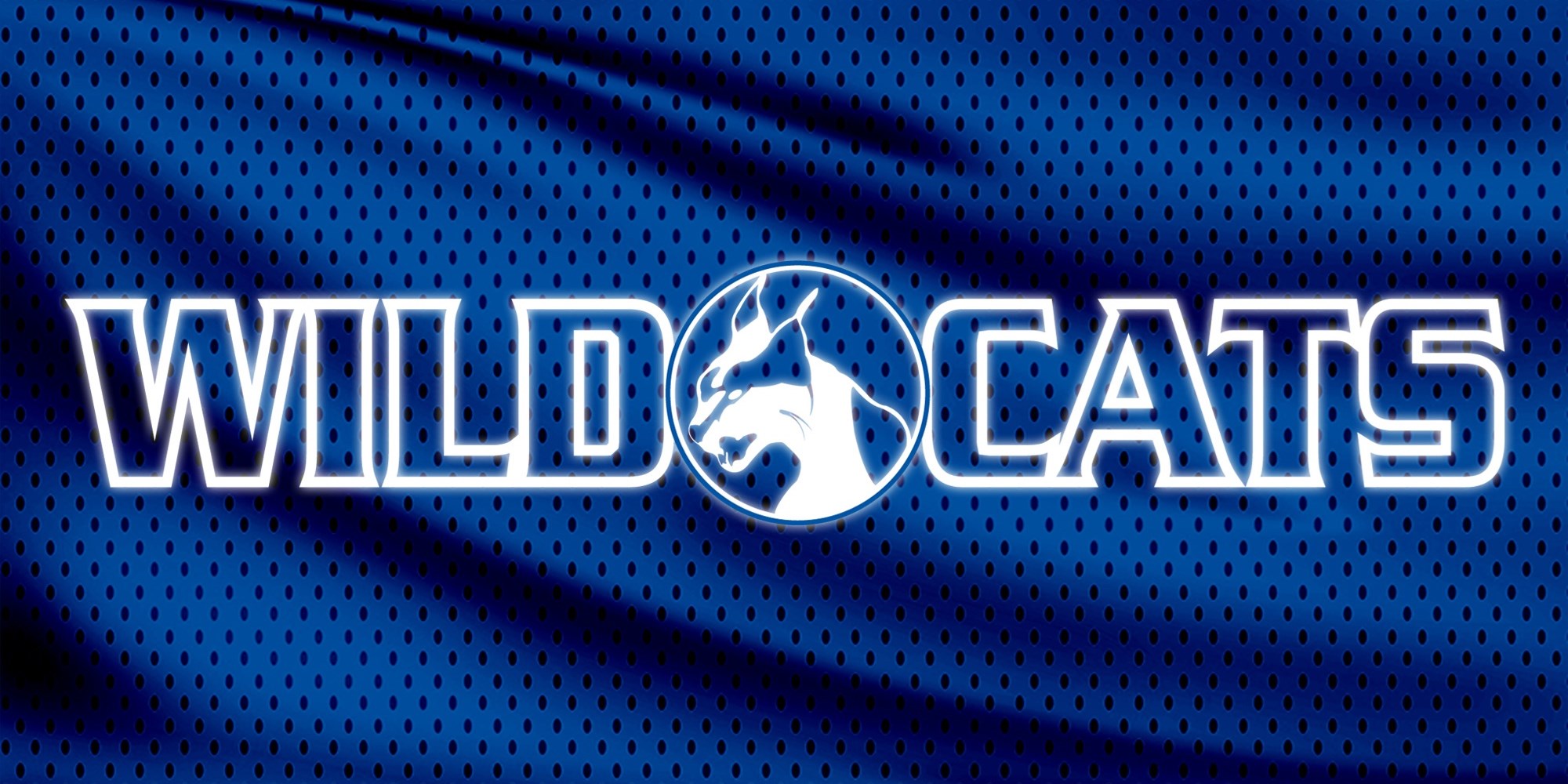 WCCCD Athletics Banner