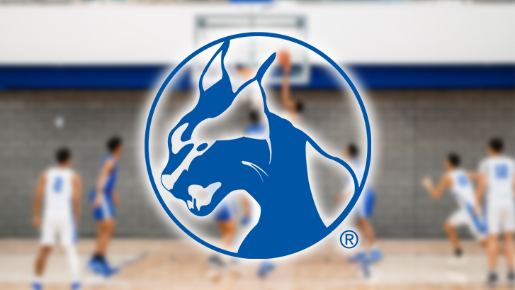 Wildcats logo and basketball game